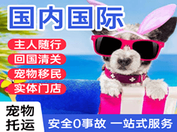 济宁大安空运地址国际宠物托运 【国